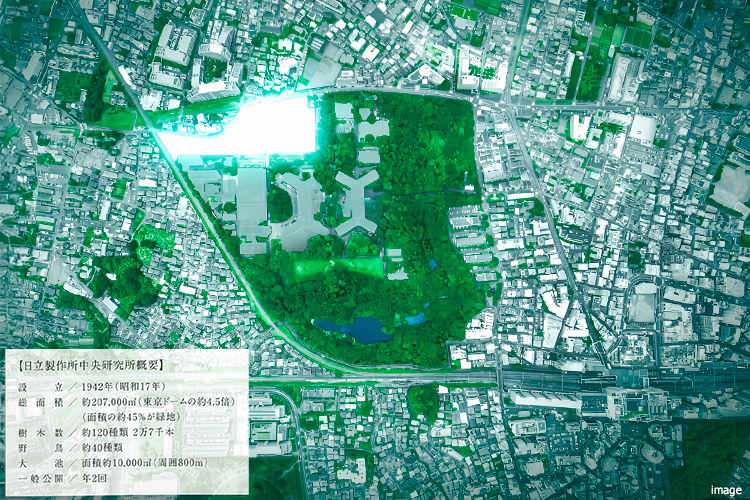 現地周辺航空写真｜ザ・パークハウス国分寺四季の森