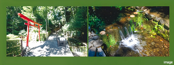 お鷹の道・真姿の池湧水郡｜ザ・パークハウス国分寺四季の森