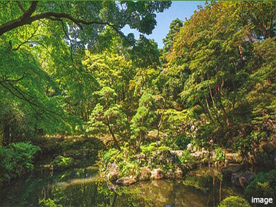 殿ヶ谷戸庭園｜ザ・パークハウス国分寺四季の森